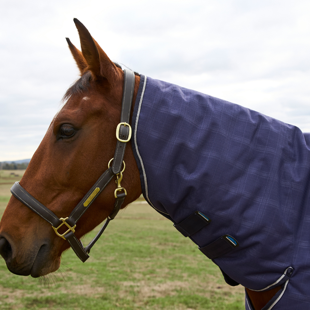 Weatherbeeta Comfitec Prelim 220G Combo Turnout #colour-navy-embossed-plaid