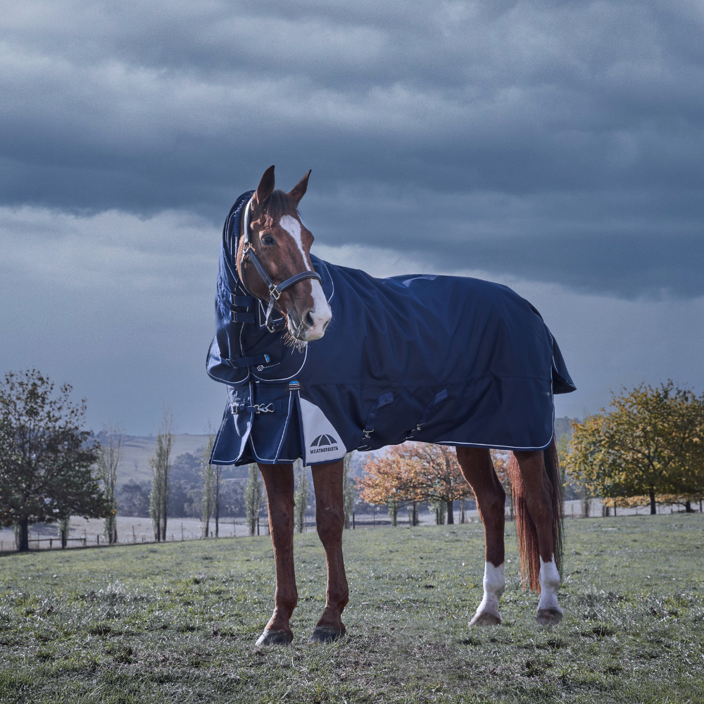 Weatherbeeta Comfitec Ultra 220G Detach-A-Neck Turnout #colour_navy