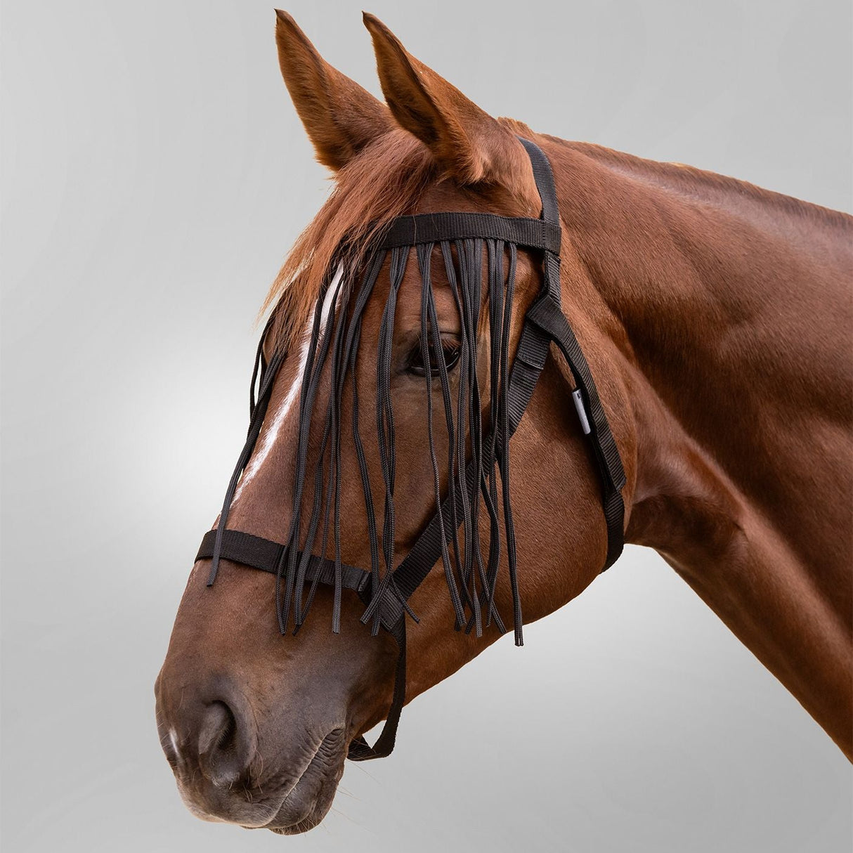 Waldhausen Grazing Halter With Fly Fringe #colour_black