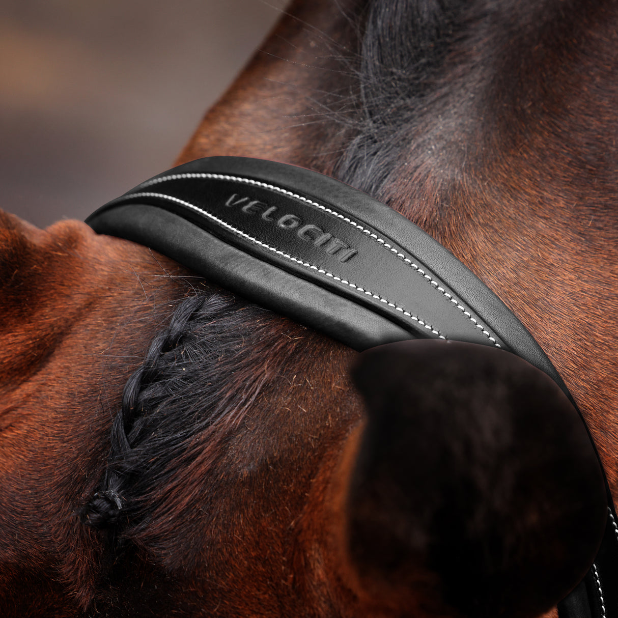 Shires Velociti LUSSO Opus 180M Dressage Cavesson Bridle #colour_black
