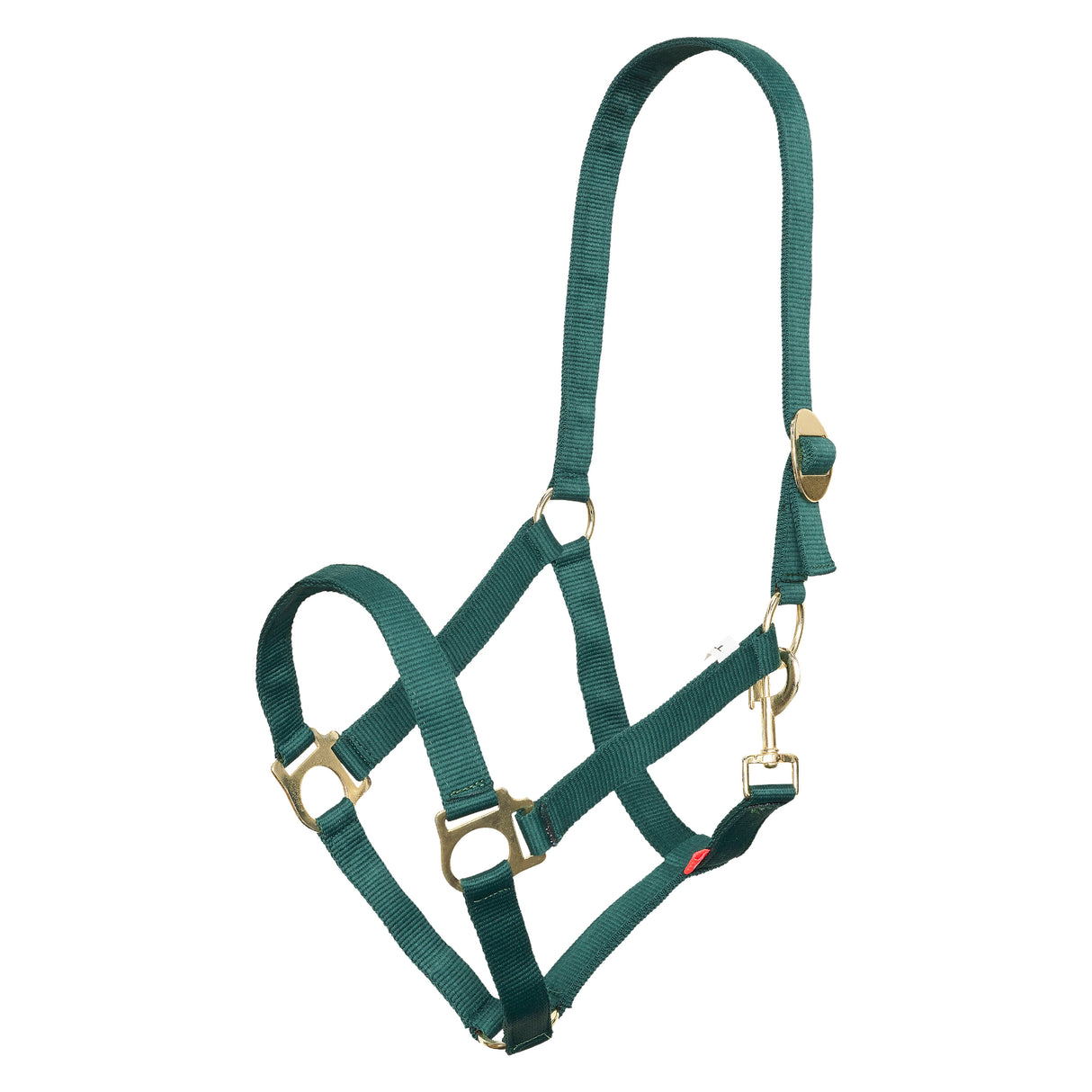 Imperial Riding Nylon Economic Headcollar #colour_forest-green