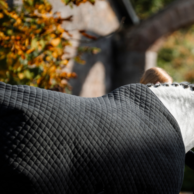 Horseware Ireland Thermal Cooler #colour_Black-Thunderstorm Grey-Silver