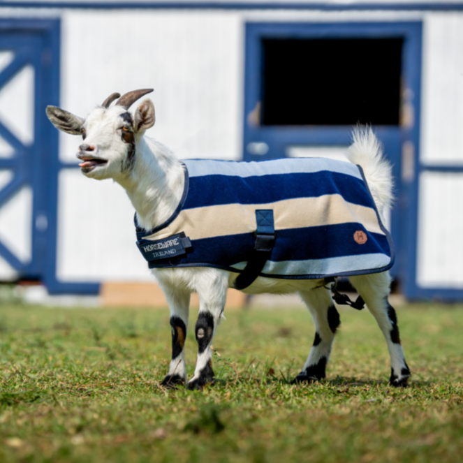 Horseware Ireland Newmarket Goat Fleece #colour_whitney-navy