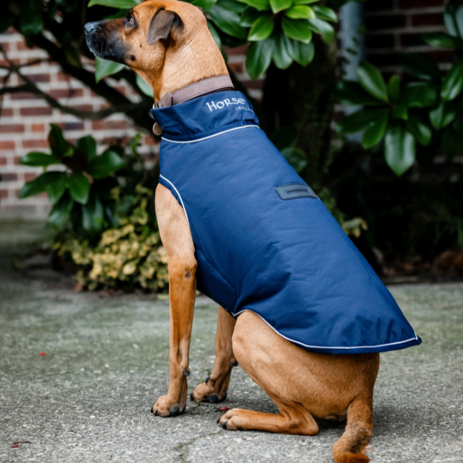 Horseware Ireland Signature 100g Dog Rain Coat #colour_navy