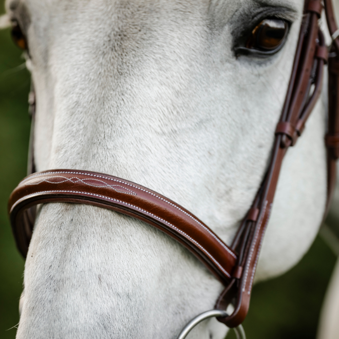 Horseware Ireland Hunter Cavesson Bridle with Reins #colour_dark-tan