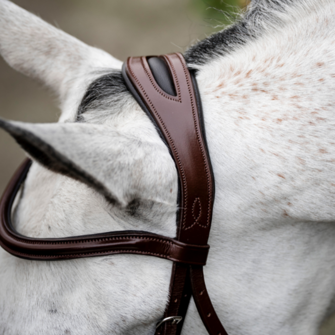 Horseware Ireland Cavesson Bridle #colour_brown