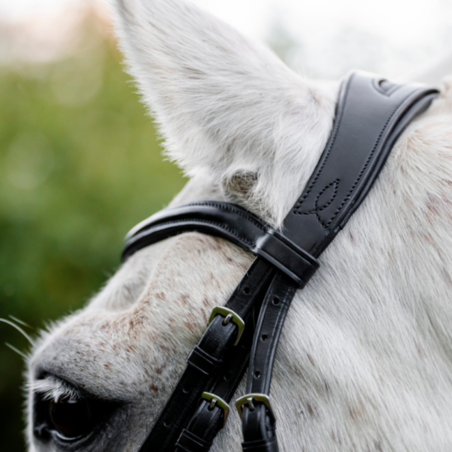 Horseware Ireland Pony Cavesson Bridle #colour_black