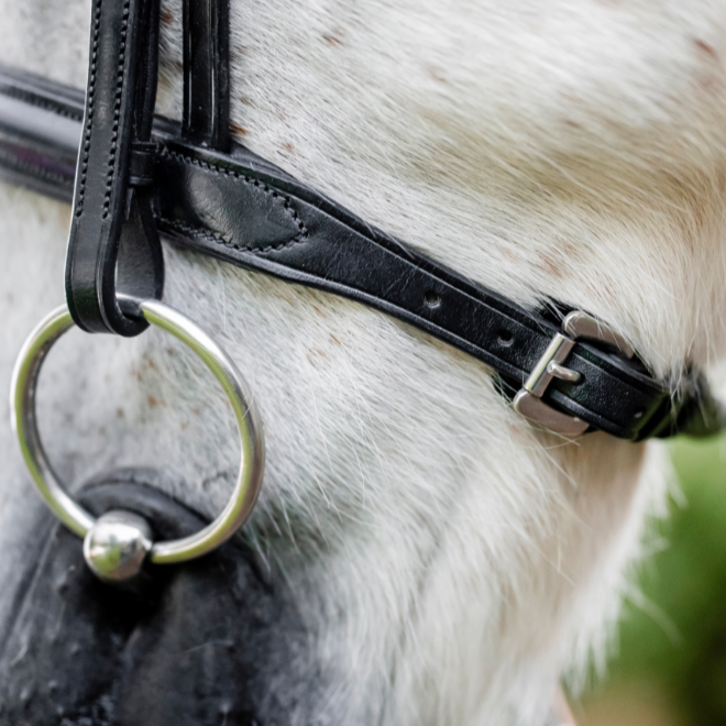 Horseware Ireland Pony Cavesson Bridle #colour_black