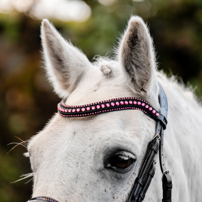 Horseware Ireland Pony Diamante Flash Bridle #colour_black-pink