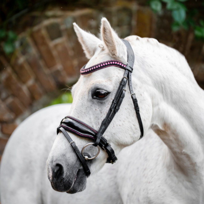 Horseware Ireland Pony Diamante Flash Bridle #colour_black-pink