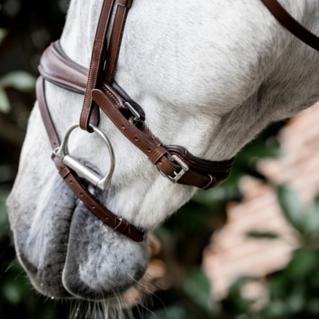 Horseware Ireland Dressage Flash Bridle #colour_brown