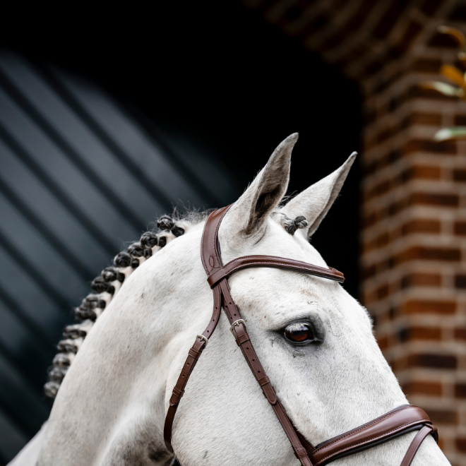 Horseware Ireland Dressage Flash Bridle #colour_brown
