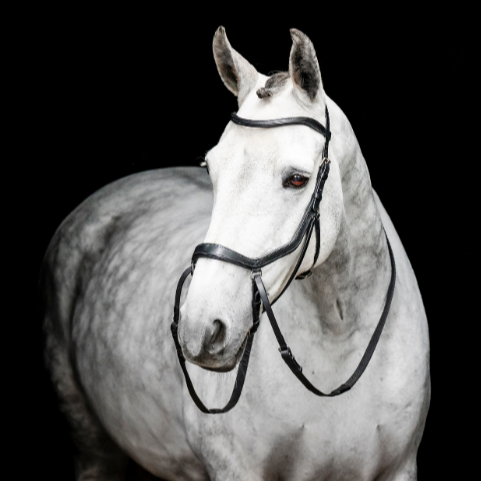 Horseware Ireland Micklem Bitless Bridle #colour_black