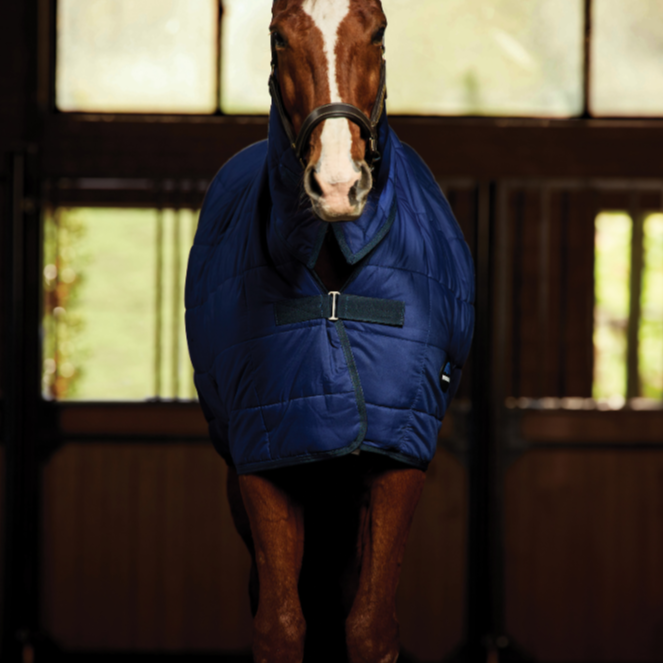 Weatherbeeta Comfitec 220G Under Rug Combo Neck #colour_navy