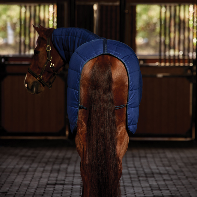 Weatherbeeta Comfitec 220G Under Rug Combo Neck #colour_navy