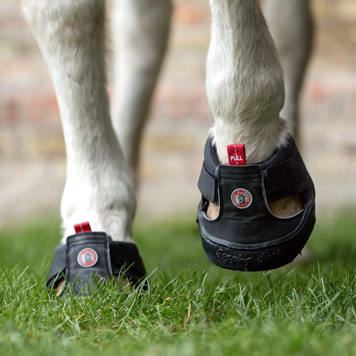 Equine Fusion Trekking Shoe #colour_black