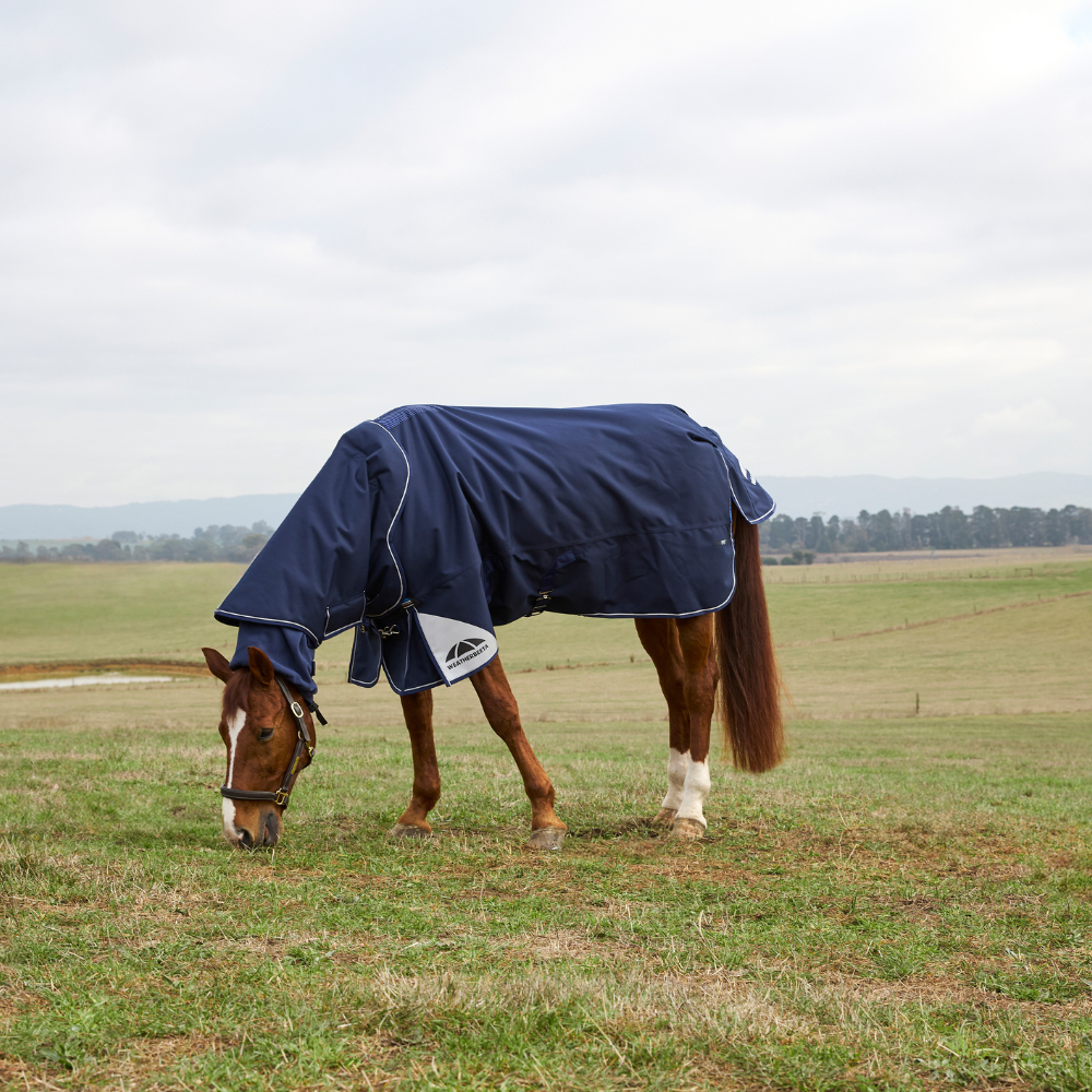 Weatherbeeta Comfitec Ultra 220G Detach-A-Neck Turnout #colour_navy
