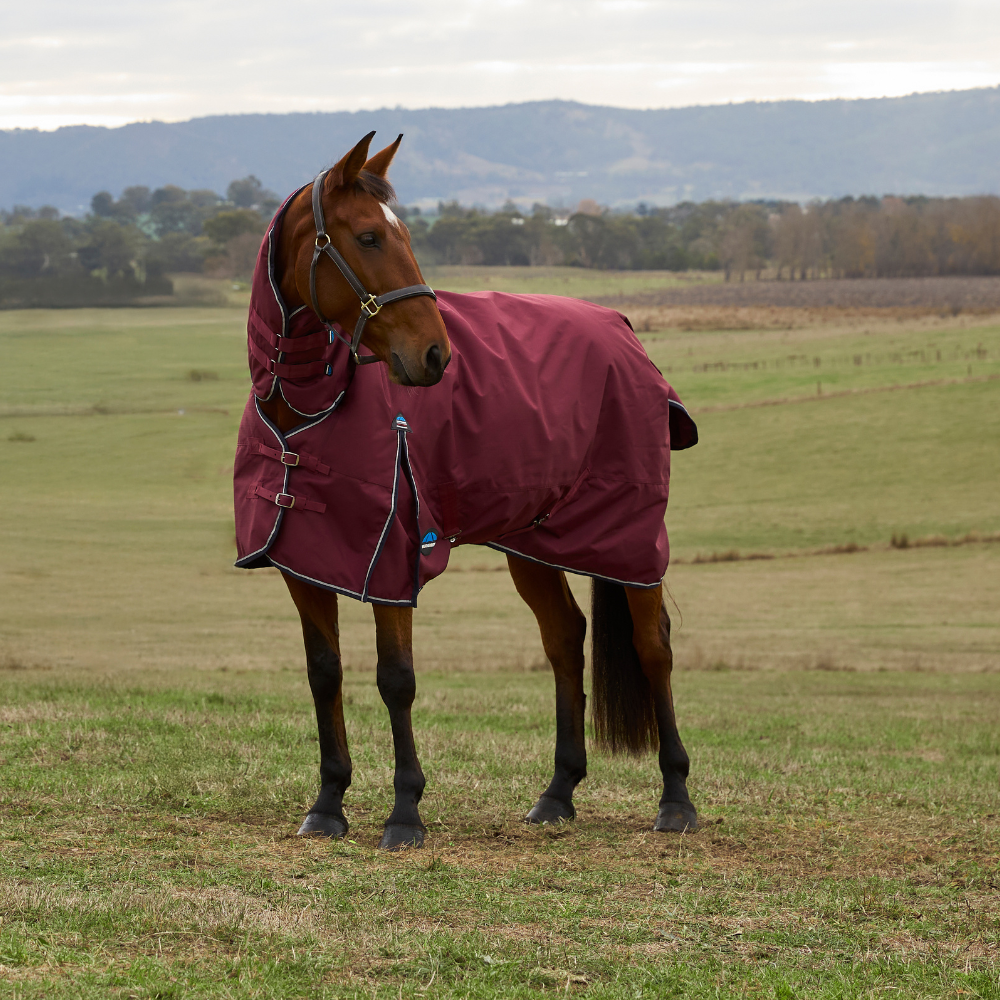 Weatherbeeta Comfitec Prelim 0G Combo Turnout #colour_burgundy-navy