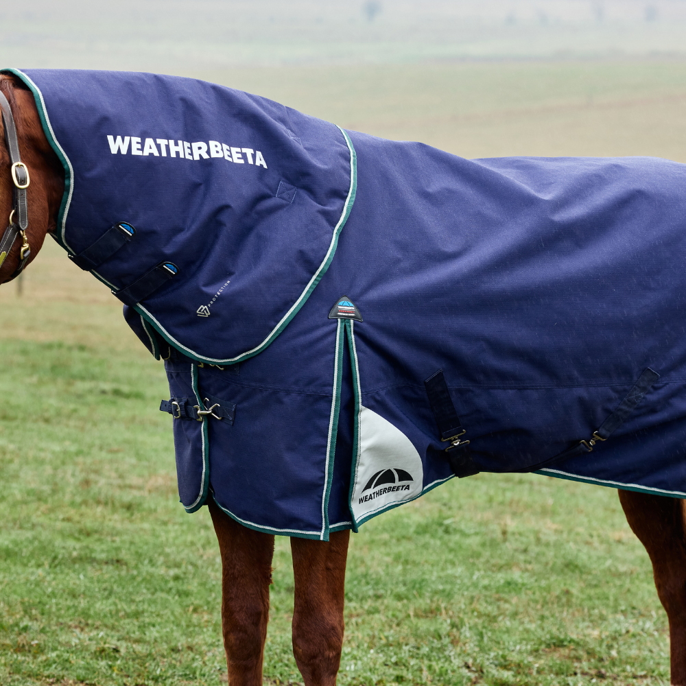 Weatherbeeta Comfitec Plus Dynamic 0G Detach-A-Neck Turnout #colour_navy-forest-green