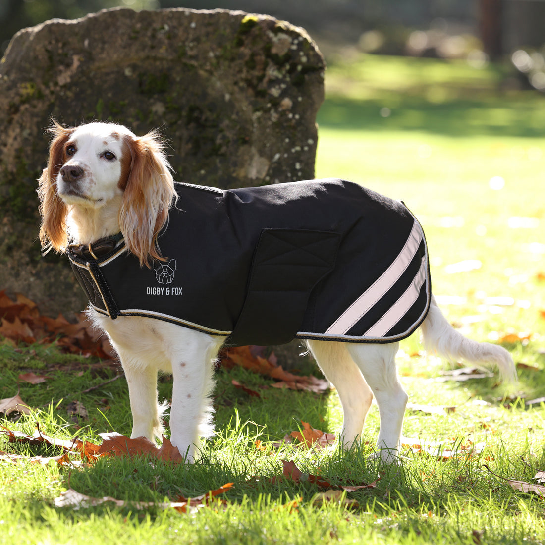 Manteau imperméable pour chien Shires Digby & Fox