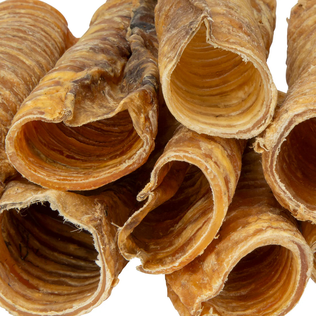 Shires Digby & Fox Trachea