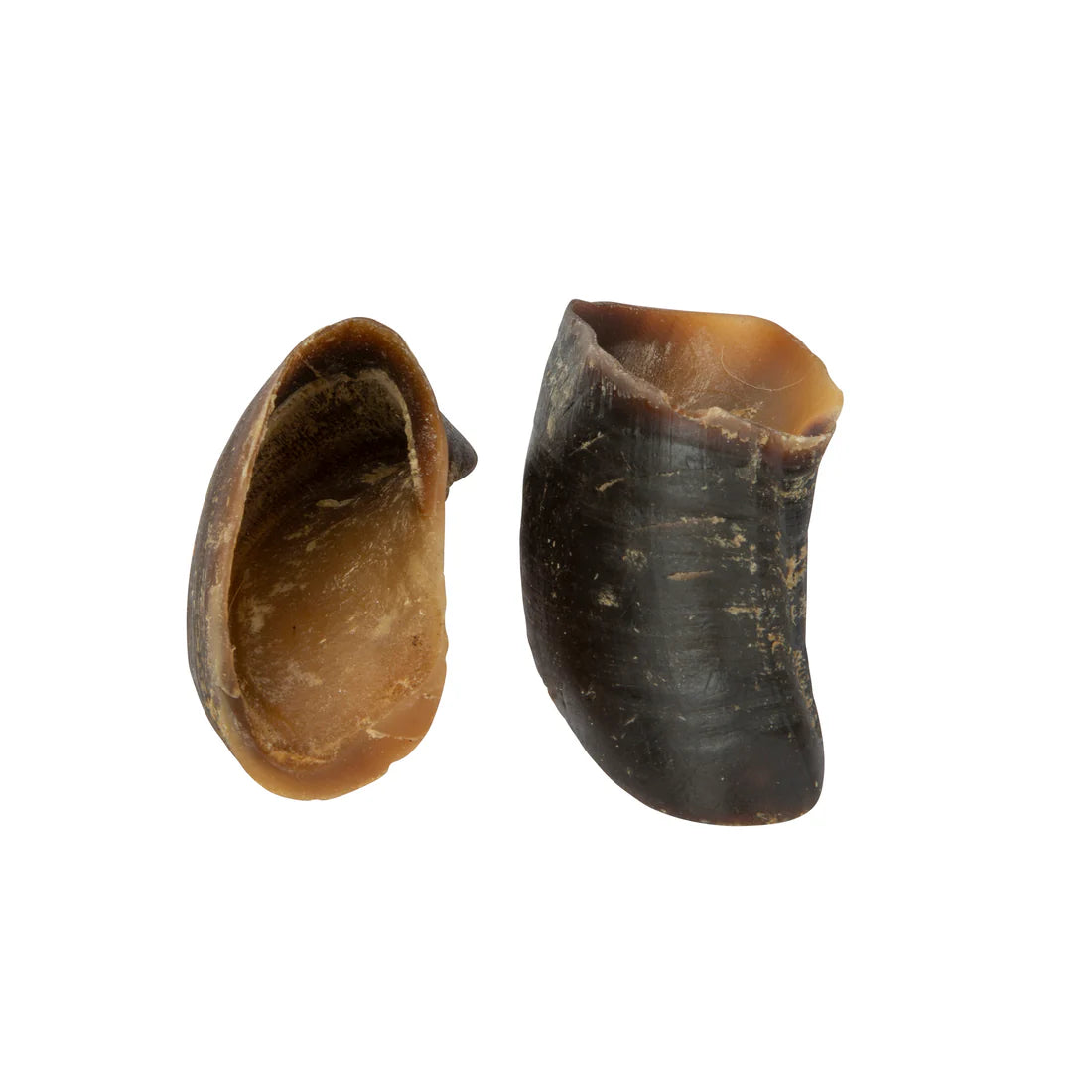 Shires Digby & Fox Buffalo Hoof