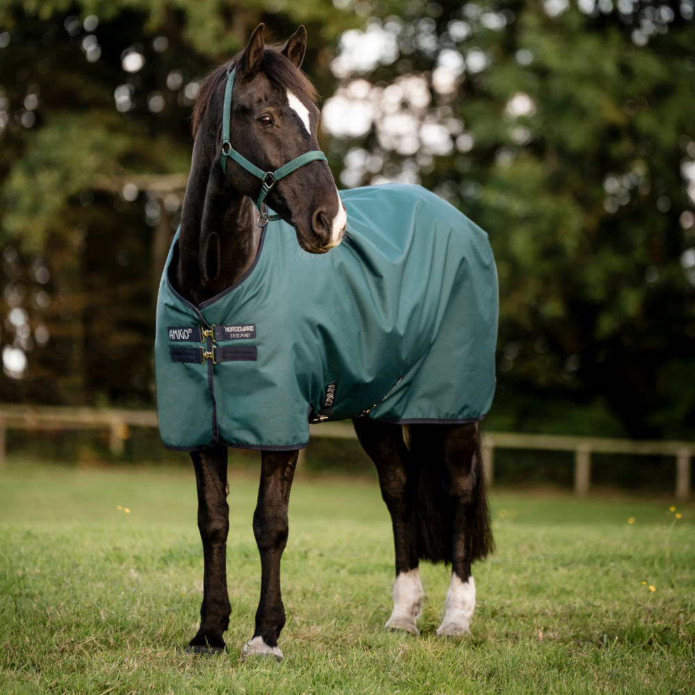 Horseware Ireland Amigo Ripstop 900D 50g Pony Turnout Rug #colour_dynasty-green-navy-silver