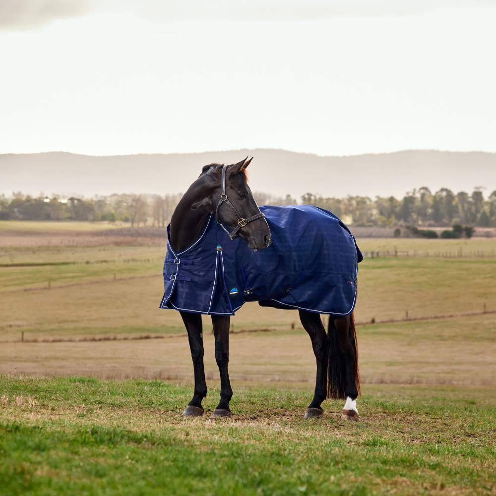 Weatherbeeta Comfitec Prelim 220G Turnout #colour_navy-embossed-plaid