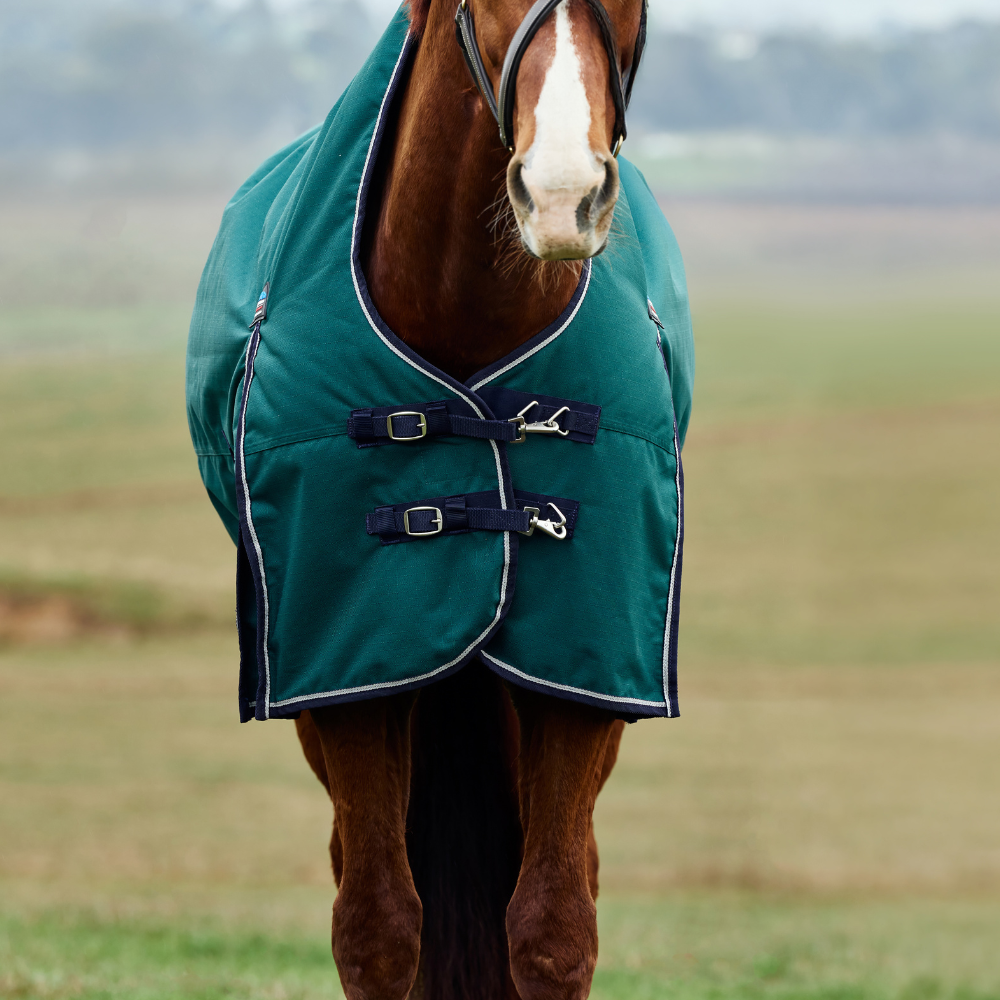 Weatherbeeta Comfitec Plus Dynamic 100G High Neck Turnout #colour_forest-green-navy