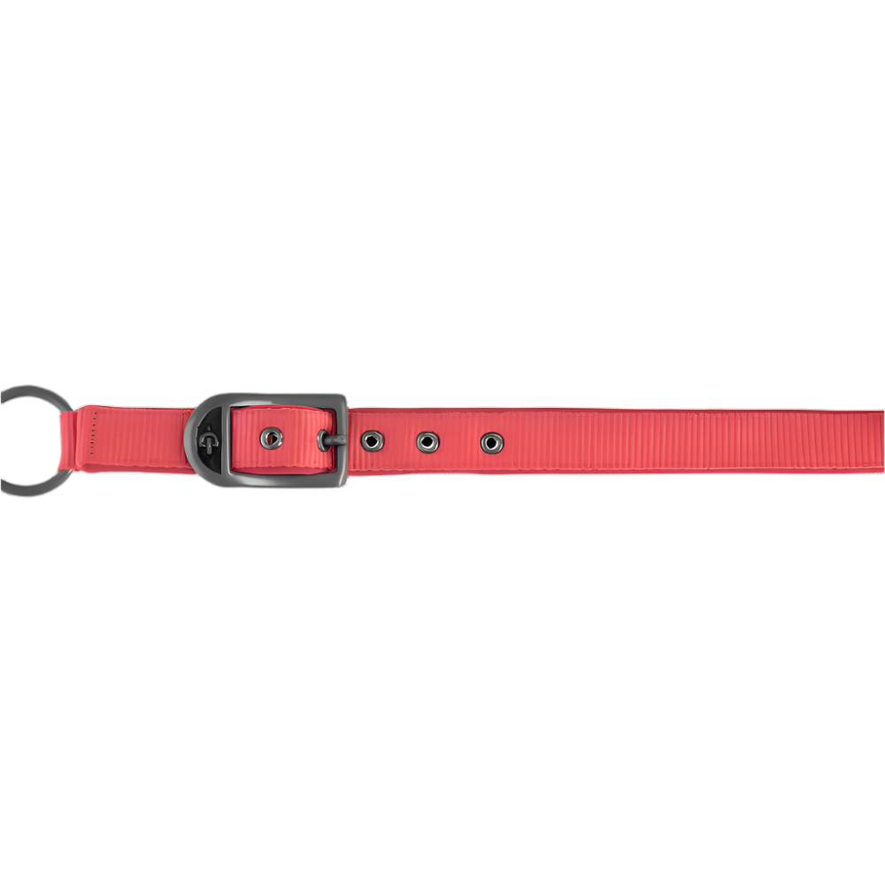 Covalliero Headcollar #colour_coral