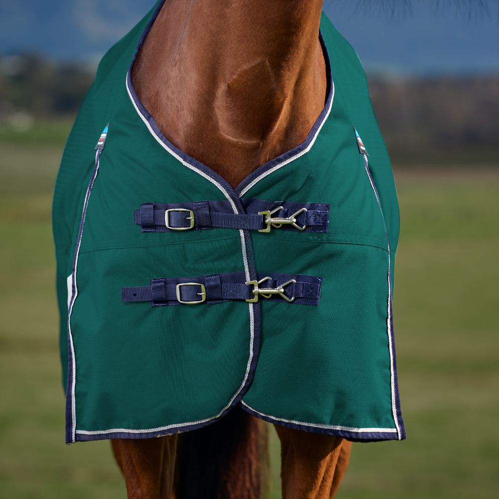 Weatherbeeta Comfitec Plus Dynamic 100G Turnout #colour_forest-green-navy