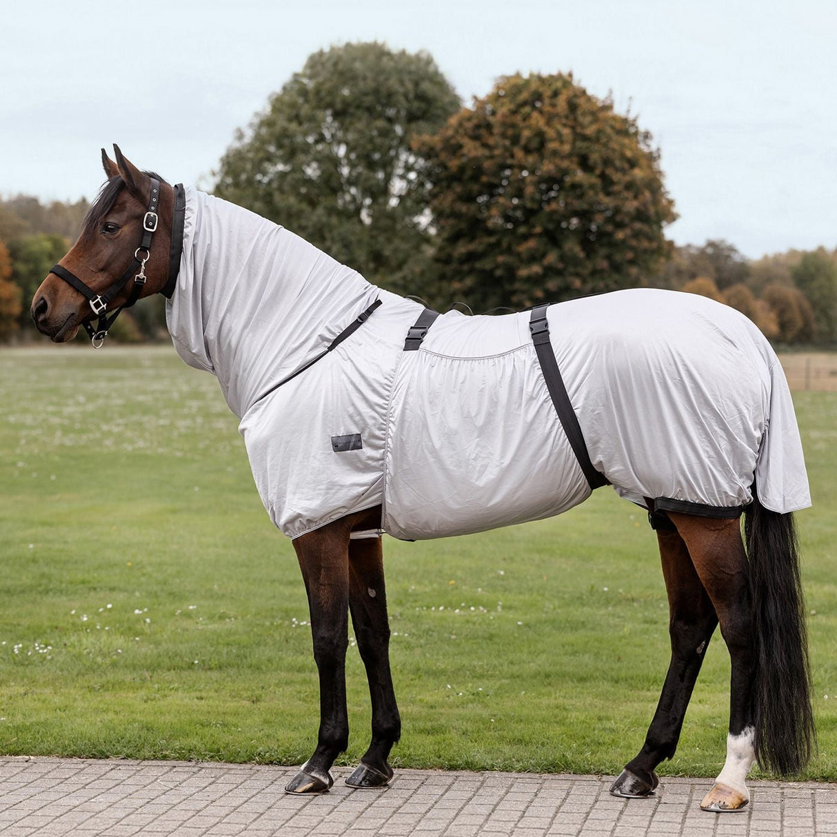 Waldhausen Basic Eczema Rug #colour_silver-grey