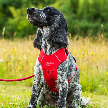 Mountain Paws Dog Harness #colour_red