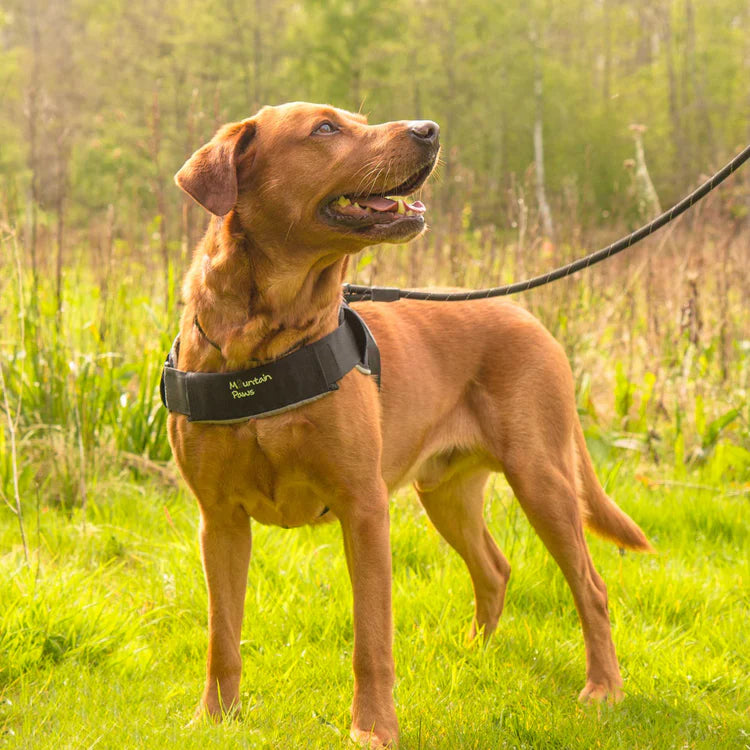 Mountain Paws Extra Tough Dog Harness #colour_black