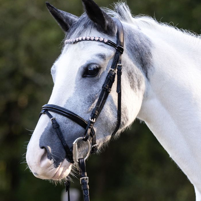 Waldhausen Happy Hearts Snaffle Bridle #colour_black