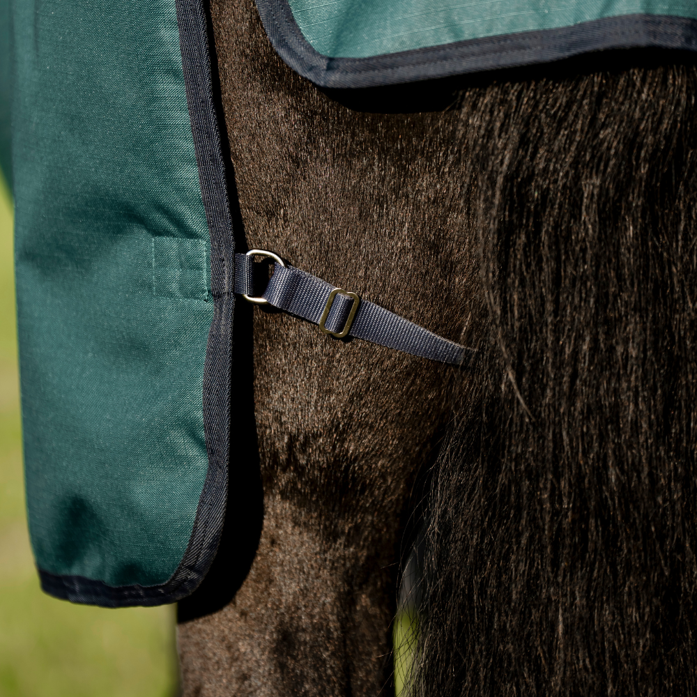Horseware Ireland Amigo Ripstop 900D Plus 200g Pony Turnout Rug #colour_dynasty-green-navy-silver