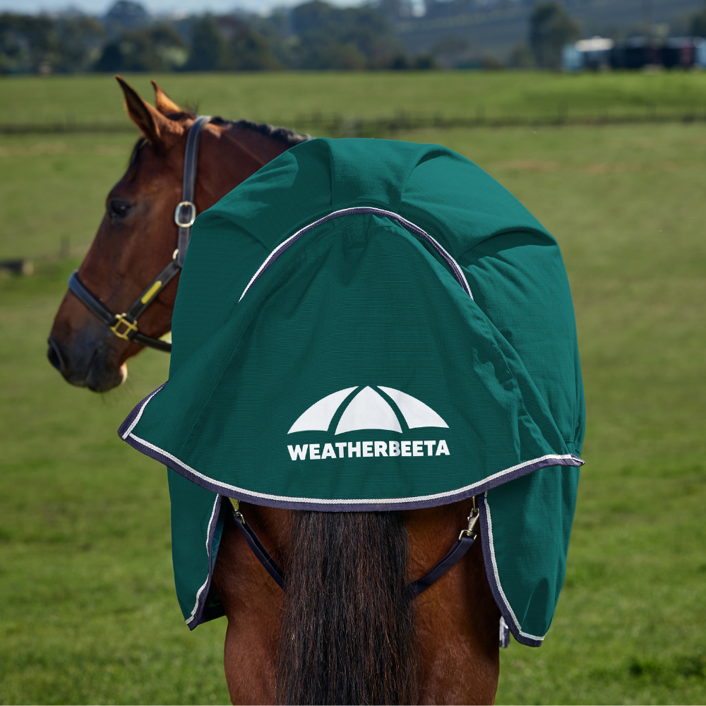 Weatherbeeta Comfitec Plus Dynamic 0G Turnout #colour_forest-green-navy