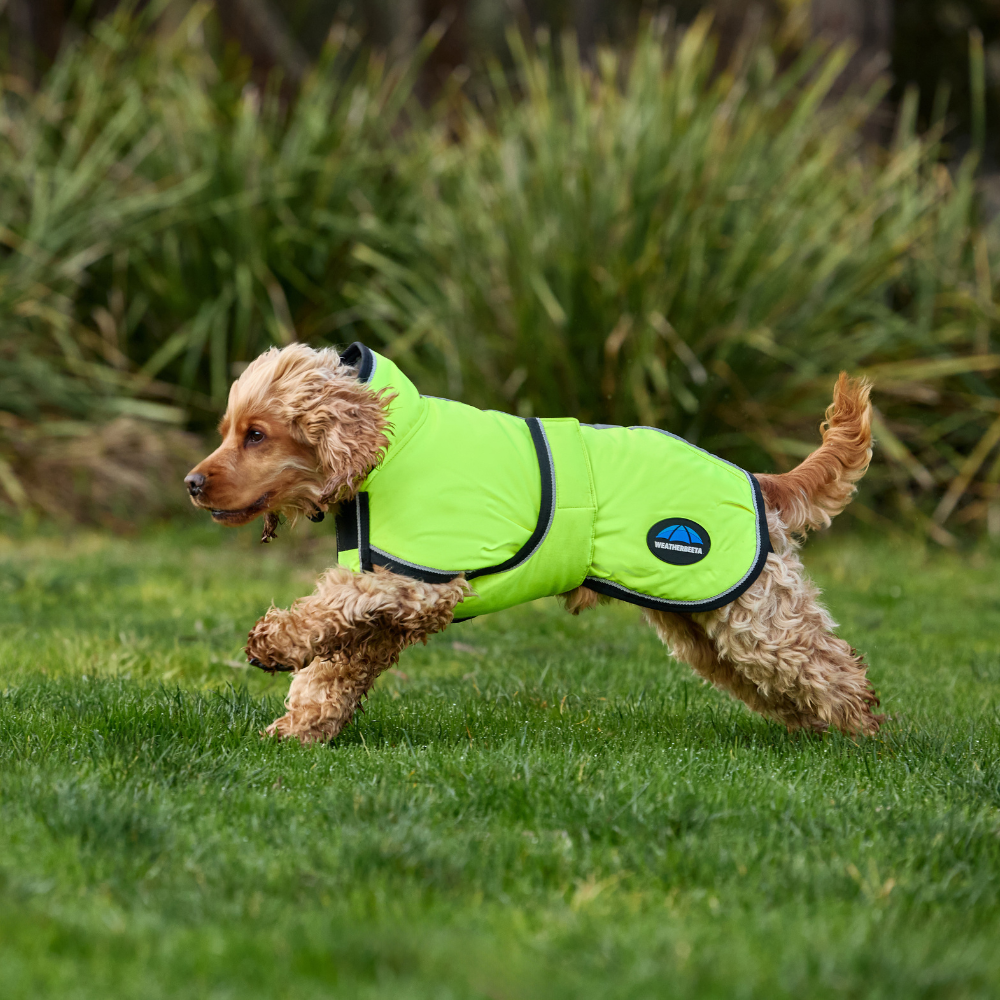 Weatherbeeta Comfitec Reflective 300D Deluxe Showerproof Dog Coat #colour_yellow
