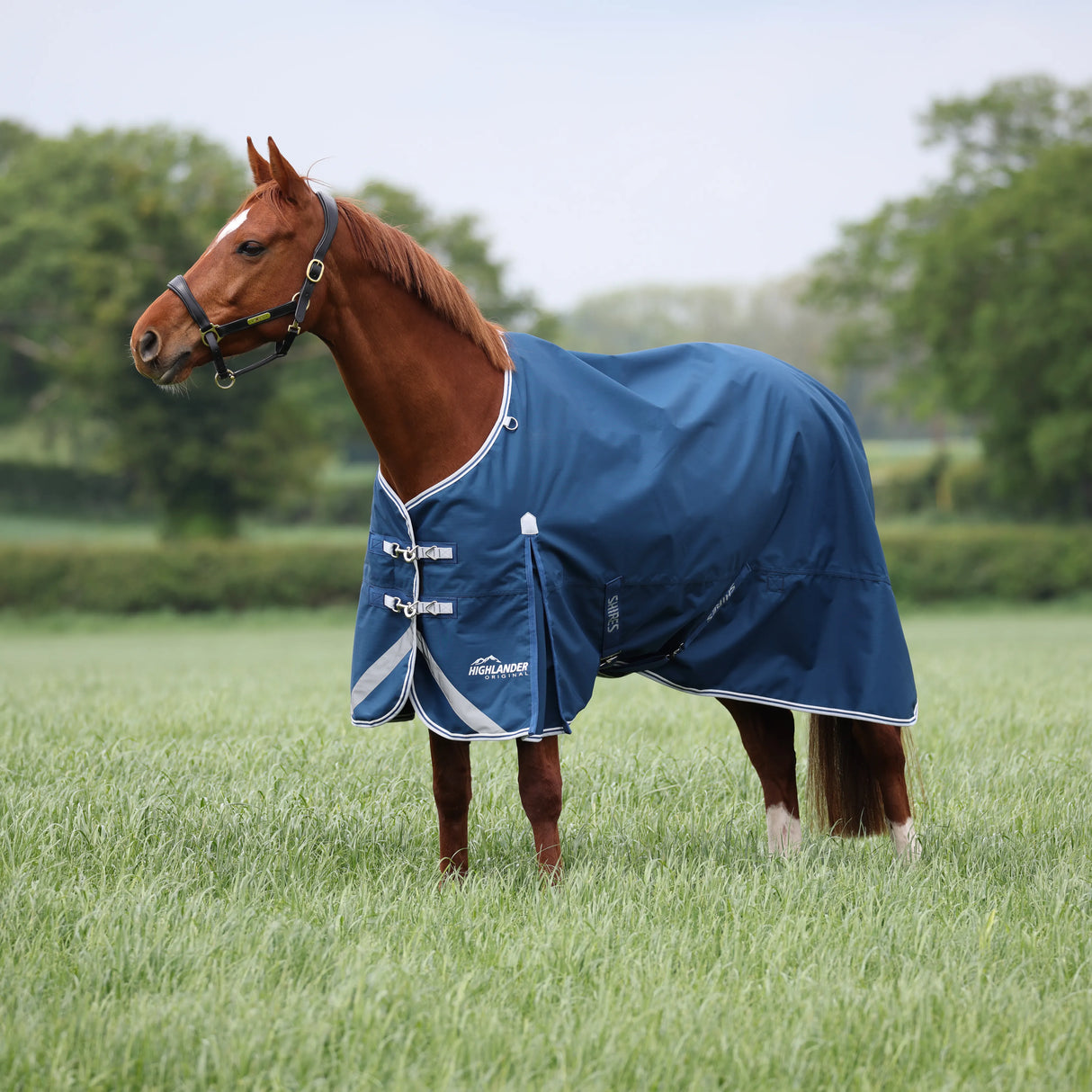 Shires Highlander Original 50g Turnout Rug
