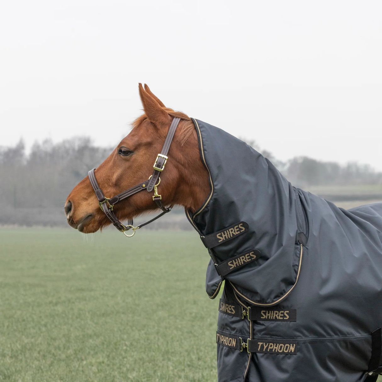 Shires Typhoon 50g Combo Turnout Rug