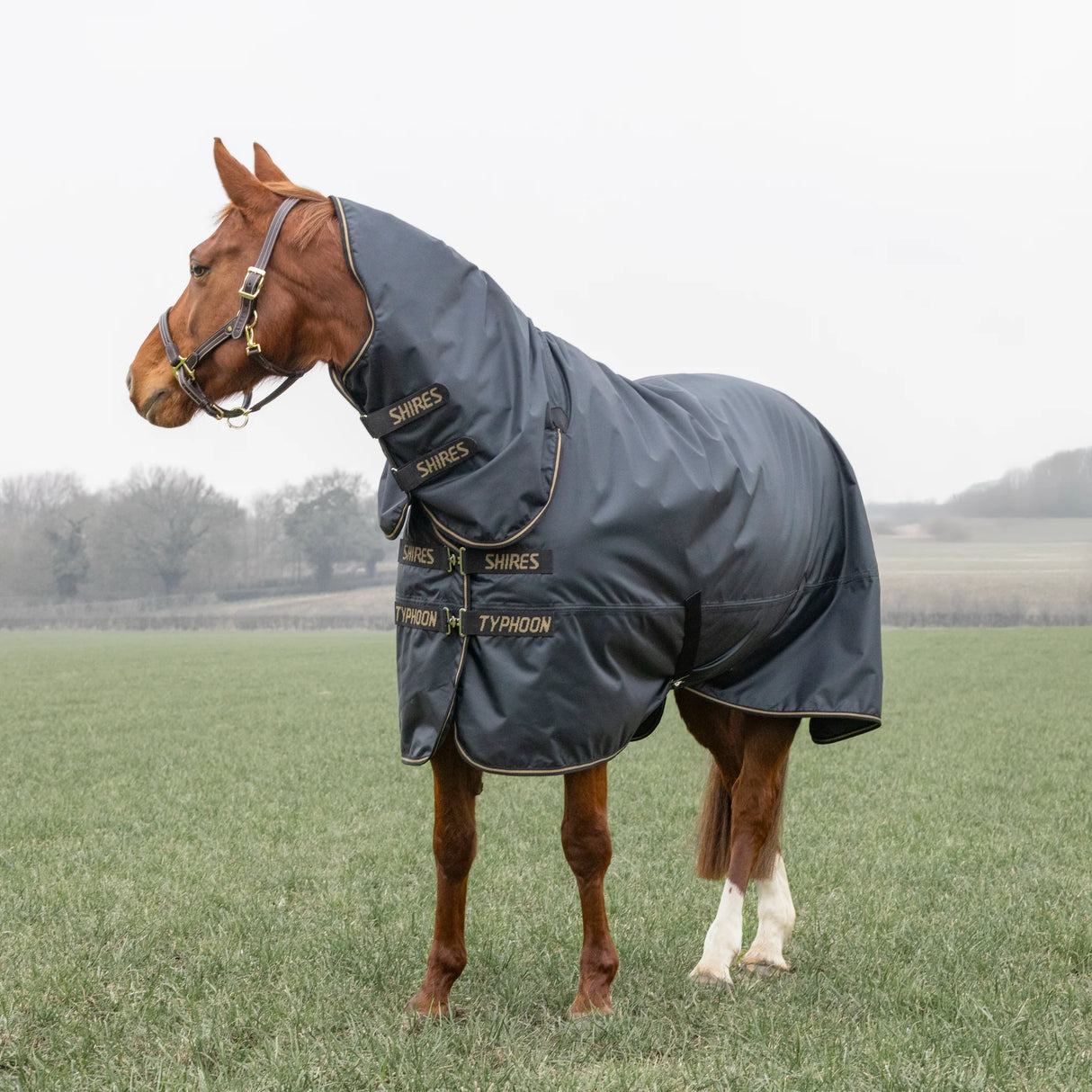 Shires Typhoon 50g Combo Turnout Rug