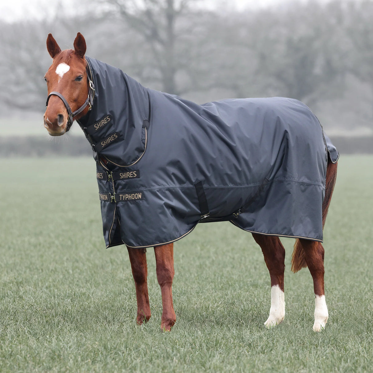 Shires Typhoon 50g Combo Turnout Rug