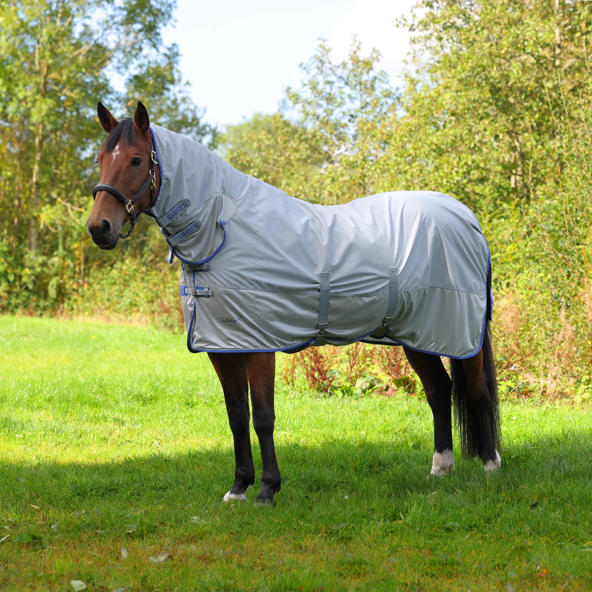 Couverture anti-mouches combinée imperméable Shires Tempest Original