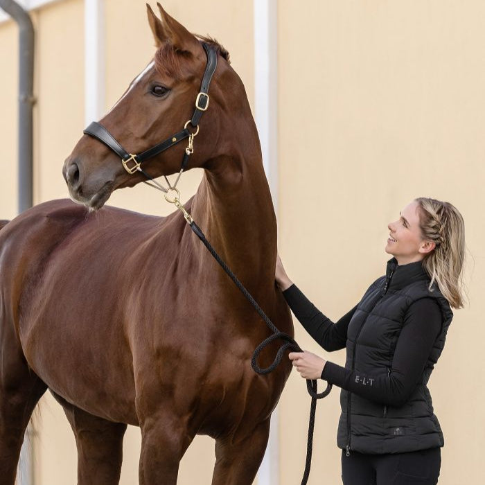 Waldhausen S-Line Royal Leather Halter #colour_black