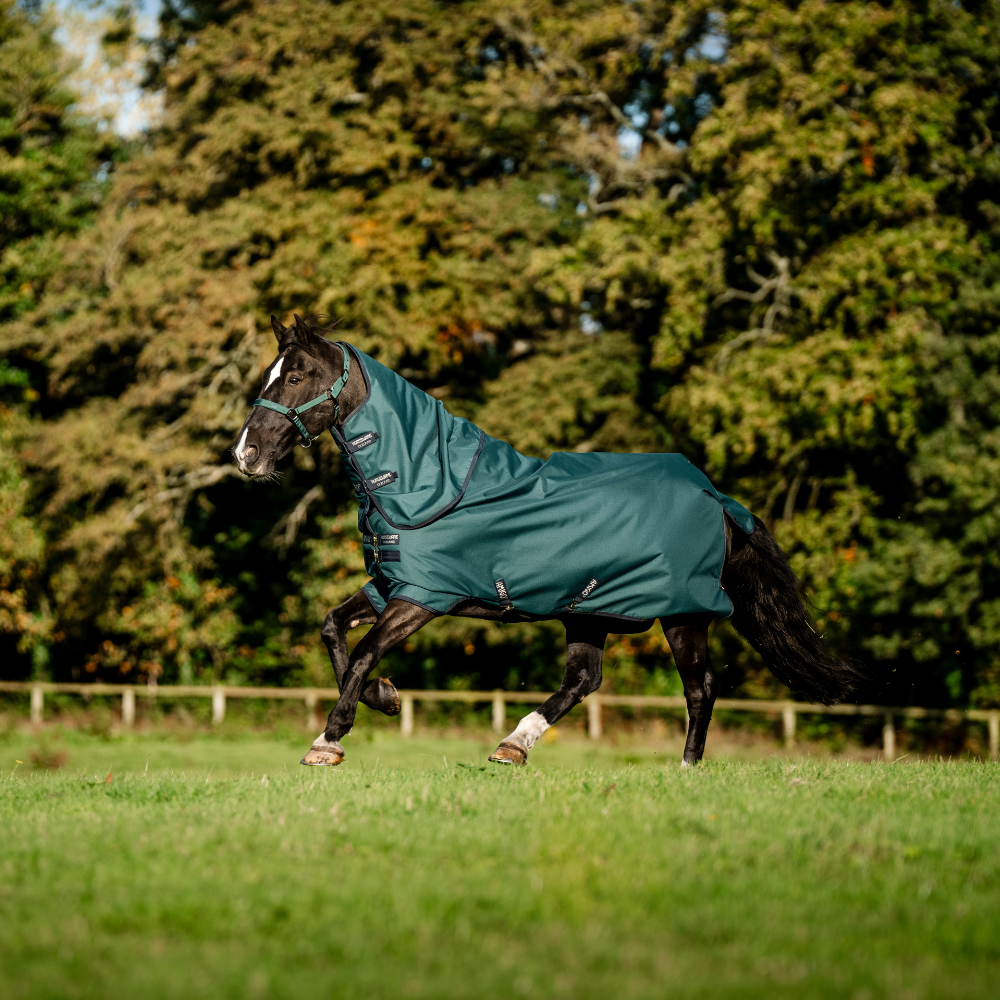 Horseware Ireland Amigo Ripstop 900 Plus 100g #colour_dynasty-green-navy-silver