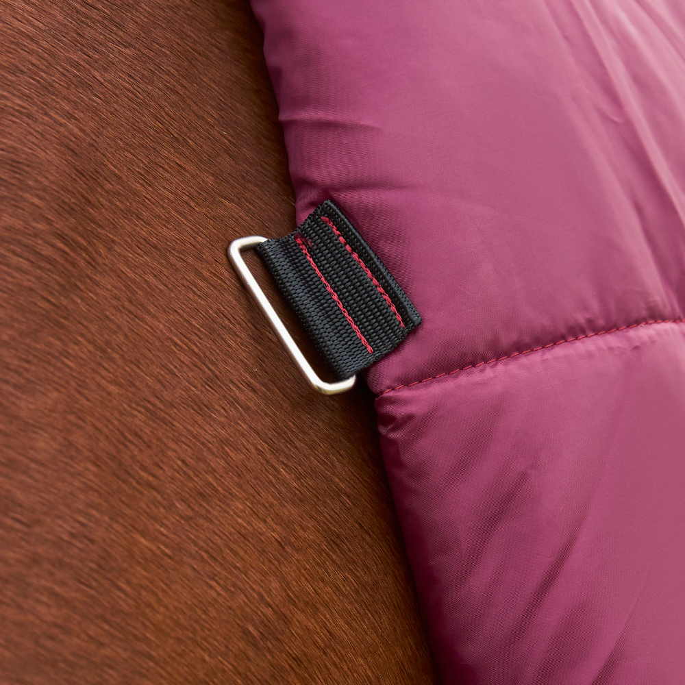 Weatherbeeta Comfitec Prelim 220G Combo Turnout #colour_burgundy-navy