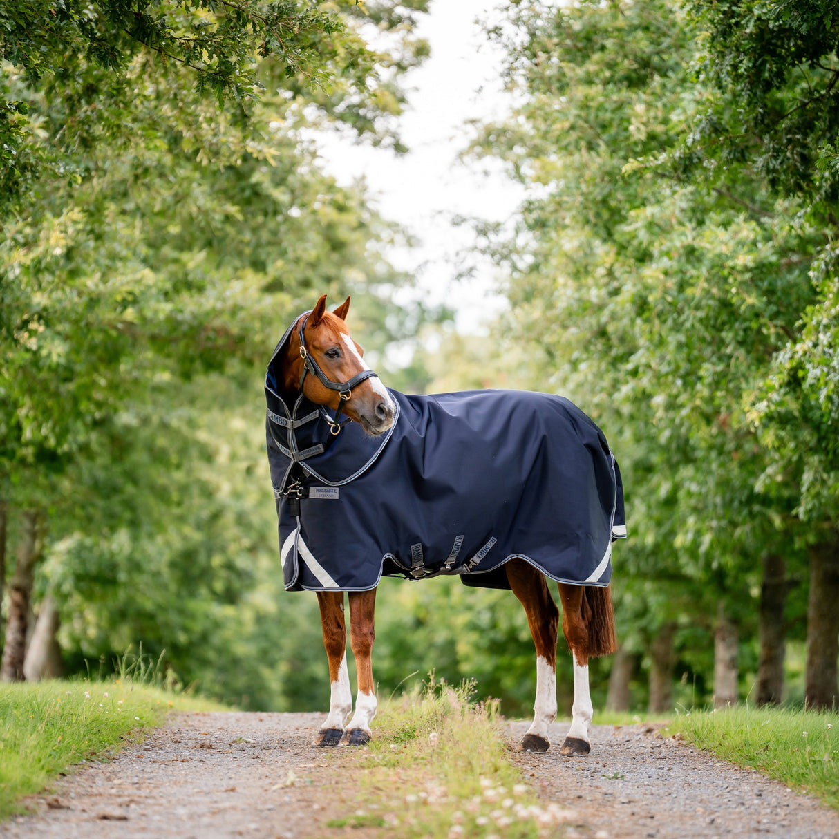 Horseware Ireland Rambo Supreme 1680D Turnout Plus 0g #colour_navy-thunderstorm-grey-silver