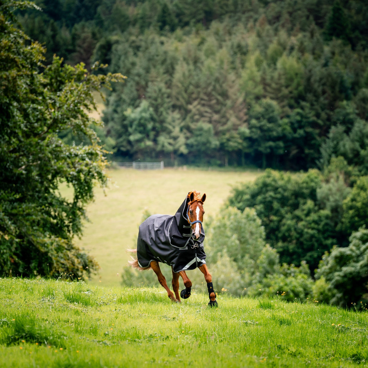 Horseware Ireland Rambo Supreme 1680D Turnout Plus 0g #colour_black-thunderstorm-grey-silver