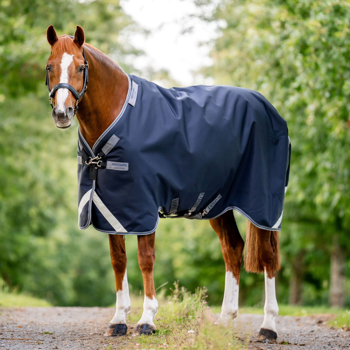 Horseware Ireland Rambo 1680D 250g Vari-Layer Turnout Rug #colour_navy-thunderstorm-grey-silver