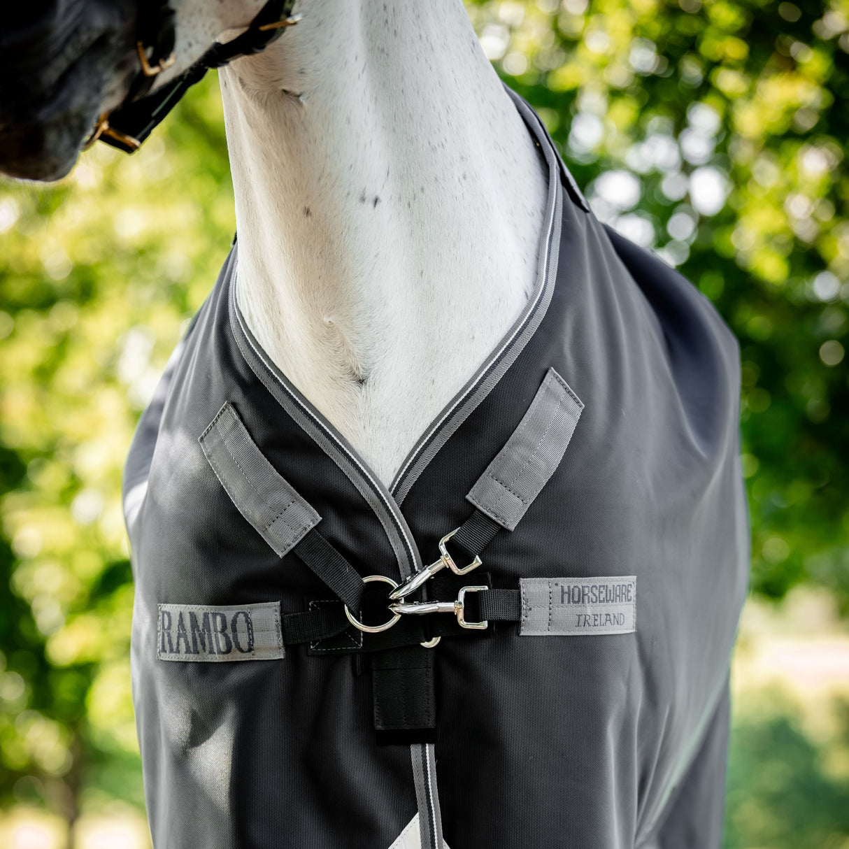 Horseware Ireland Rambo 1680D 100g Turnout Rug #colour_black-thunderstorm-grey-silver